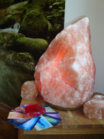 /album/fotogalerie/dsc04872-jpg/